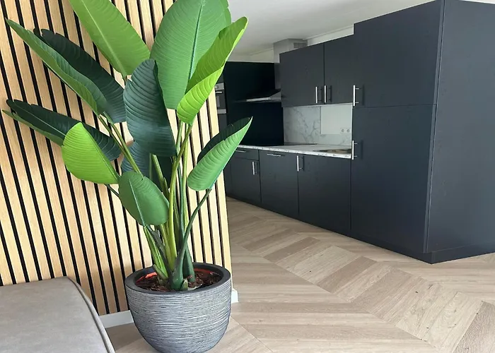 Casa vacanze In Boutique Park,